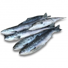 Лосось с/г с/м IQF 400-800 Walcan Seafood (CAN)