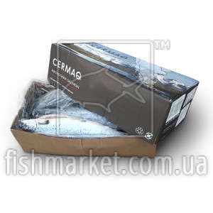 Лосось патраний з/г с/м 2-3 Cermaq (CHL)