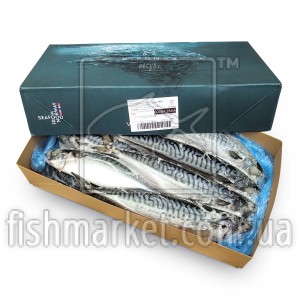 Скумбрія з/г с/м 600+ Vikomar (NOR) 10 кг Скумбрія з/г с/м 600+ Vikomar (NOR) 10 кг