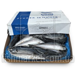 Скумбрія з/г с/м 600+ Brim (ISL) (20кг)