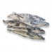 Крижана риба с/г с/м 100-250 (5 кг) Крижана риба с/г с/м 100-250 (5 кг)