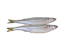 Корюшка чилийская