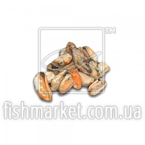 Мясо мидии в/м 100-200 Blue Shell (CHL)