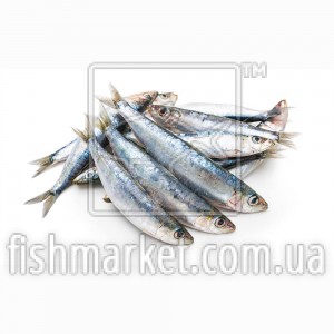 Сардина с/м 150+ IQF (CAN)