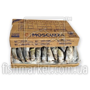 Пампаніто з/г с/м 300-500 Moscuzza (ARG) Пампаніто з/г с/м 300-500 Moscuzza (ARG)