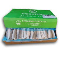 Хек тушка с/м 100-200 Pesqueras de Bon (ESP)