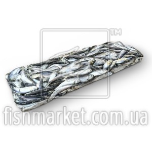 Салака тушка c/х 13-15 Irbe (LVA) (3*10)