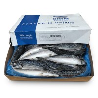 Скумбрия с/г с/м 600+ Brim (ISL) (20кг)