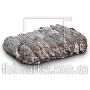 Палтус чорний (синьокорий), с/м Brim (ISL)