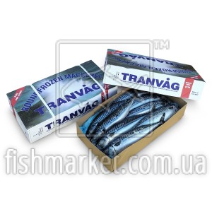 Скумбрия с/г с/м 600+ Tranvag (NOR) 10 кг Скумбрия с/г с/м 600+ Tranvag (NOR) 10 кг