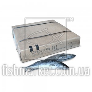 Скумбрия с/г с/м 400-600 W. van der Zwan & Zn (NLD) Скумбрия с/г с/м 400-600 W. van der Zwan & Zn (NLD)