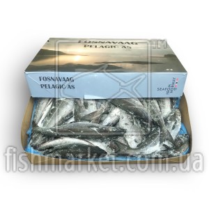 Сайда з/г с/м 500+ Fosnavaag Pelagic (NOR) Сайда з/г с/м 500+ Fosnavaag Pelagic (NOR)