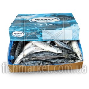 Скумбрия с/г с/м 400-600 Northbay Pelagic (GBR) Скумбрия с/г с/м 400-600 Northbay Pelagic (GBR)