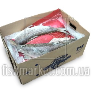 Нельма (Белорыбица) б/г с/х с/м Freshwater Fish (CAN) 27,2 кг