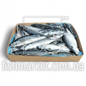 Скумбрія з/г с/м 600+ Global Floro (NOR)