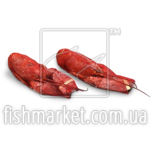 Лобстер в/м Ocean Choice (CAN) Лобстер в/м Ocean Choice (CAN)