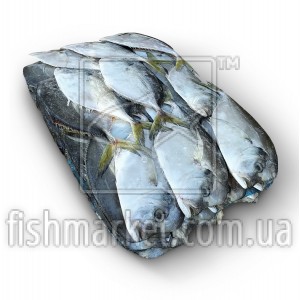 Вомер атлантический 200-300 Ocean Delight (SUR) Вомер атлантический 200-300 Ocean Delight (SUR)