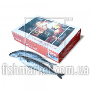 Скумбрия c/г с/м 400-600 Shetland Catch (UK) Скумбрия c/г с/м 400-600 Shetland Catch (UK)