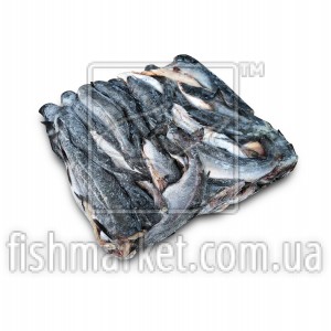 Сайда б/г с/м 1.2 кг Ocean Products (NOR)