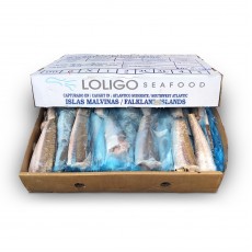 Хек тушка с/м 200-300 Loligo Seafood (FLK)