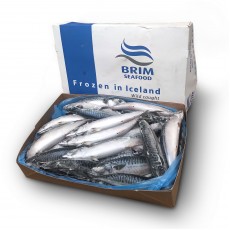 Скумбрія з/г с/м 400-600 Brim hf. (ISL) (20кг) Скумбрія з/г с/м 400-600 Brim hf. (ISL) (20кг)