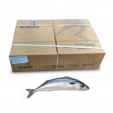 Скумбрия с/г с/м 400-600 Blumaris (ISL) (2x12,5кг)