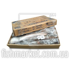 Хек тушка с/м 1500-2000 Moscuzza (ARG) Хек тушка с/м 1500-2000 Moscuzza (ARG)